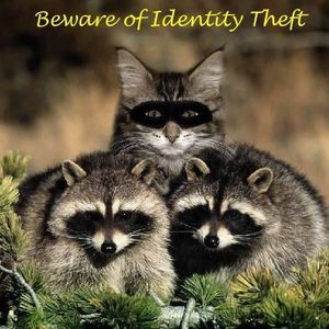 Meet your Posher, Dorothy